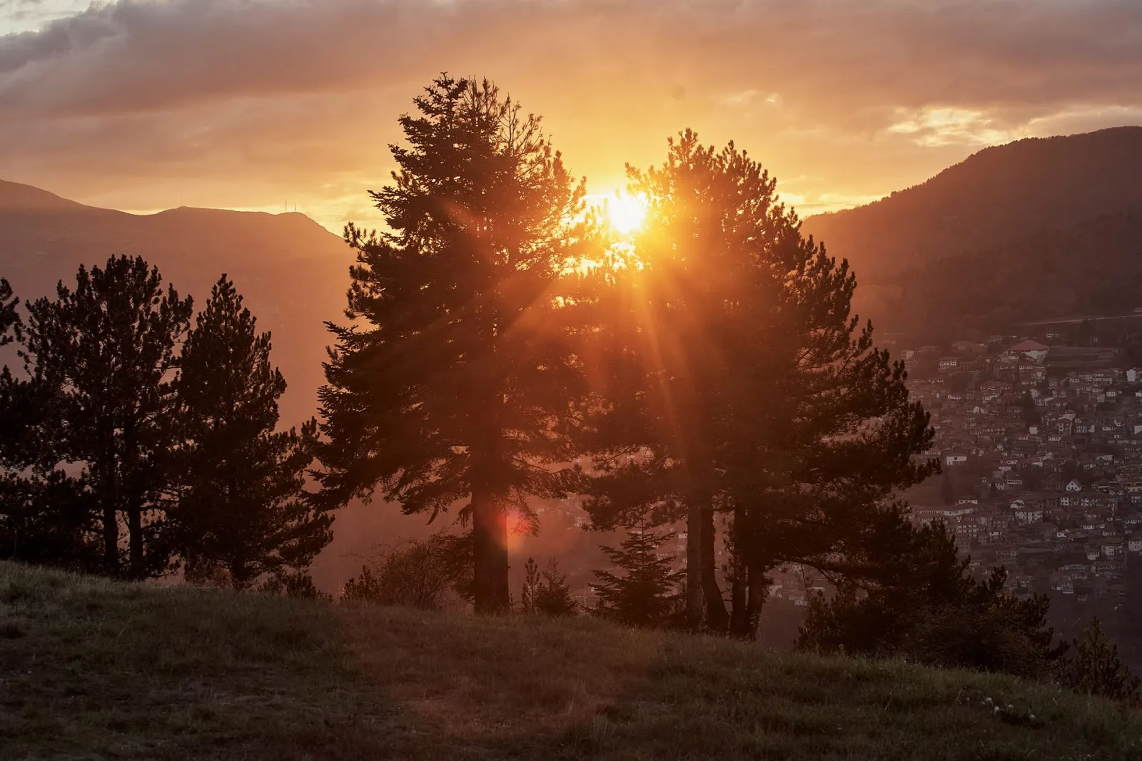 Grand Forest Suite with Metsovo View