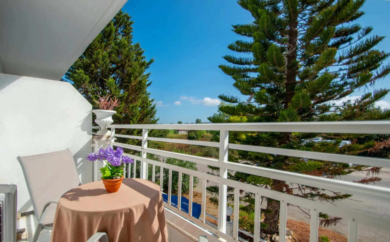 Standard Garden View