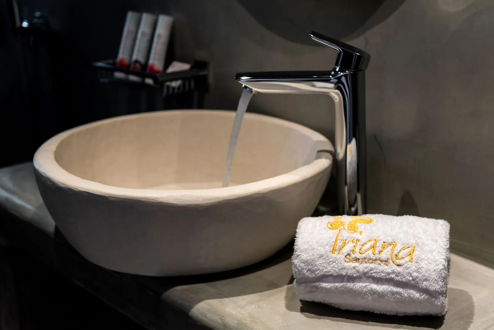 Executive Suite Private Mini Pool and Jet Tub