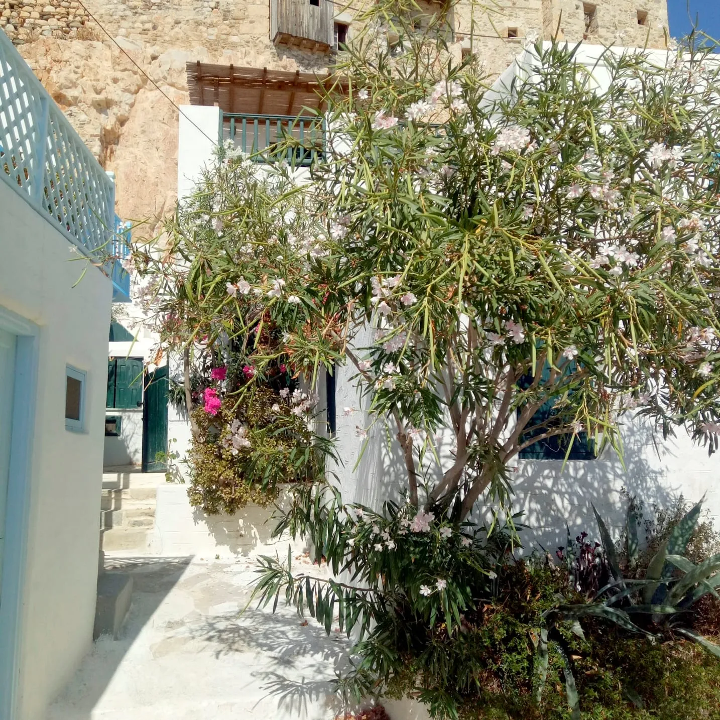 TRADITIONAL SETTLEMENT | Castrino House