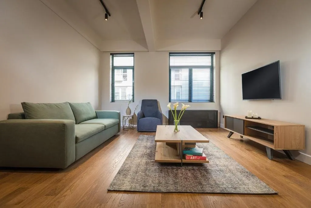 Deluxe Apartment City View