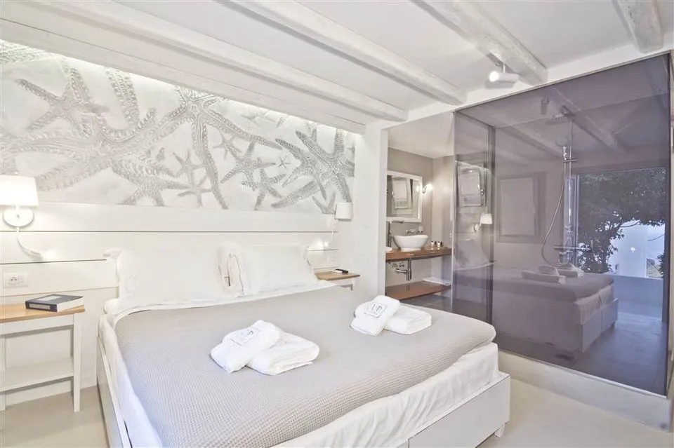 Superior Double with Private Terrace 
