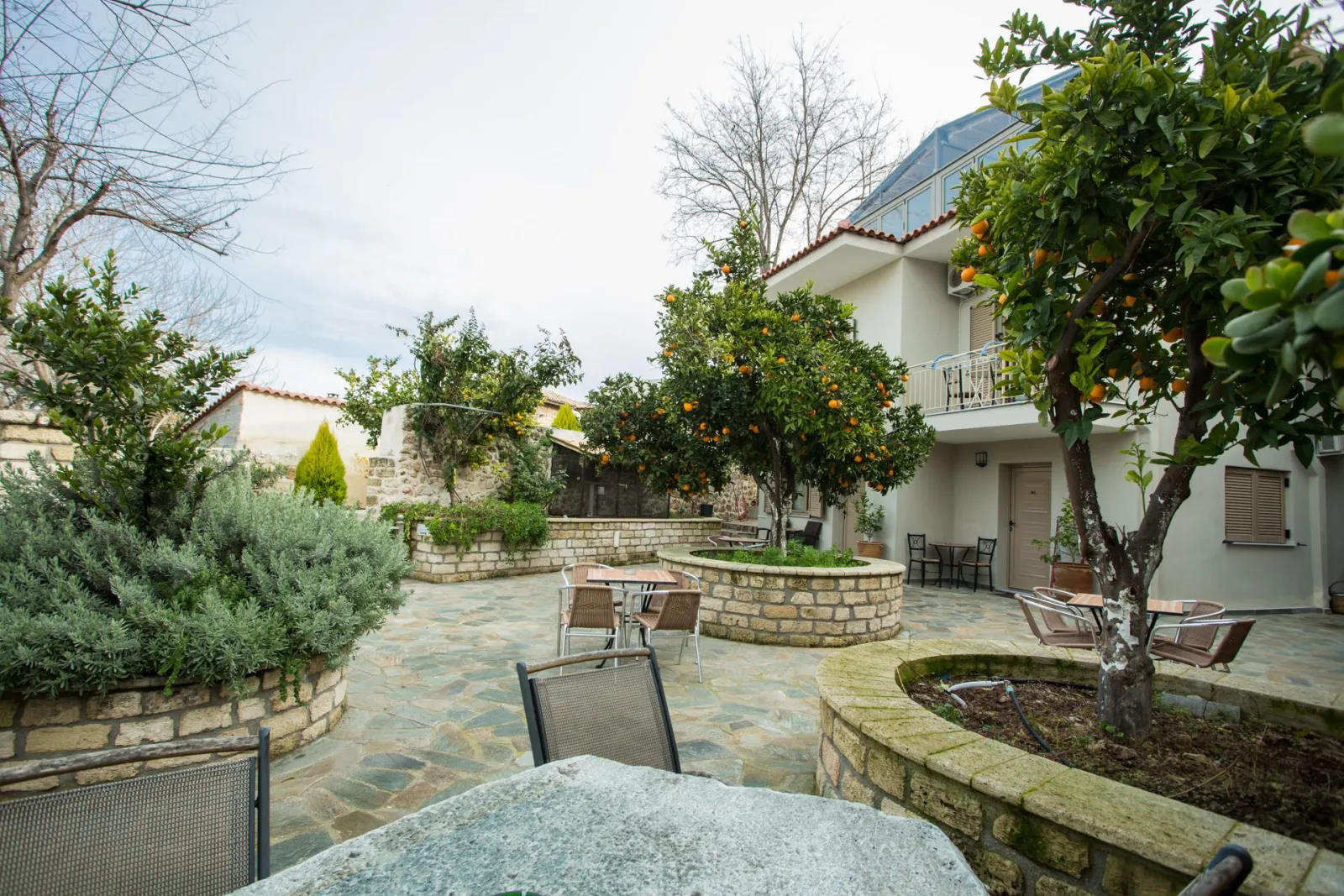 Double Room with Patio Access B1