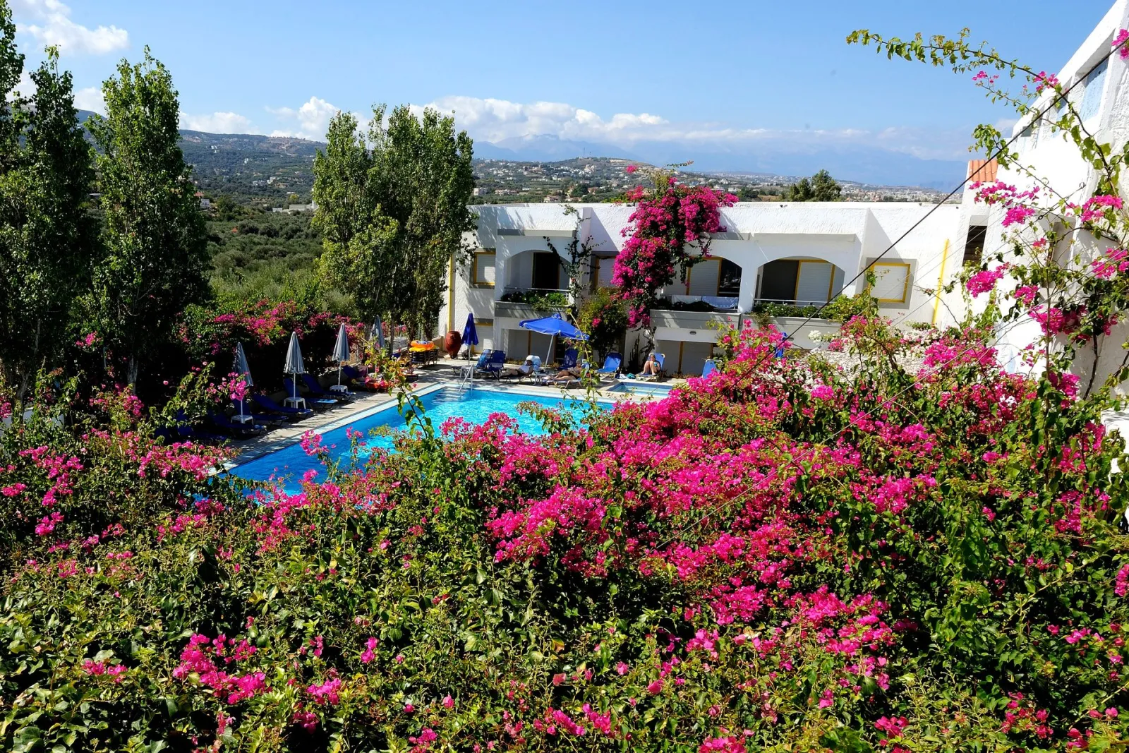 Studio Mountain and Pool View