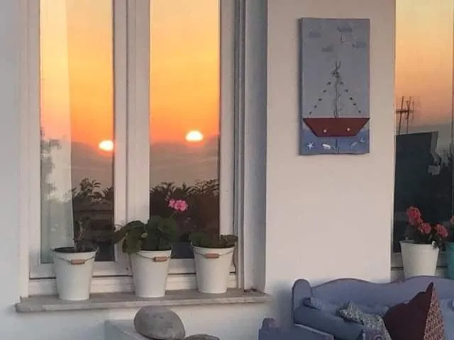 Studio with Garden View