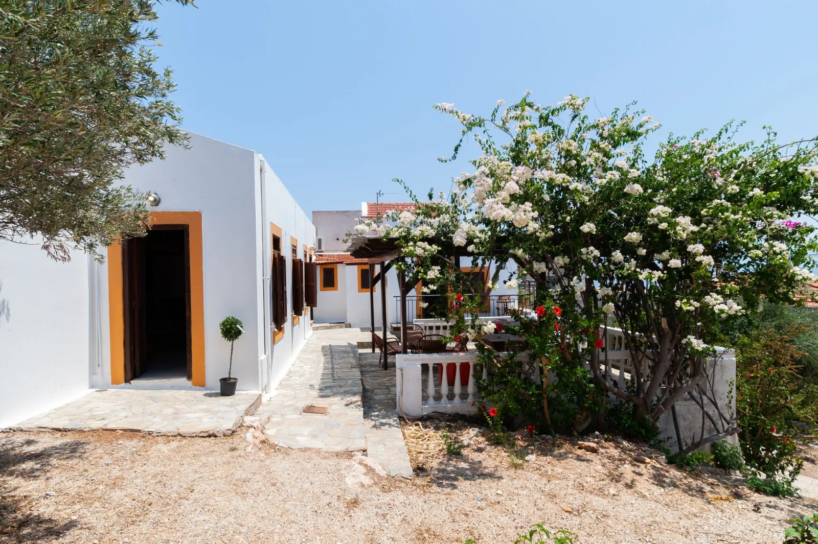 Kiki Standard Studio