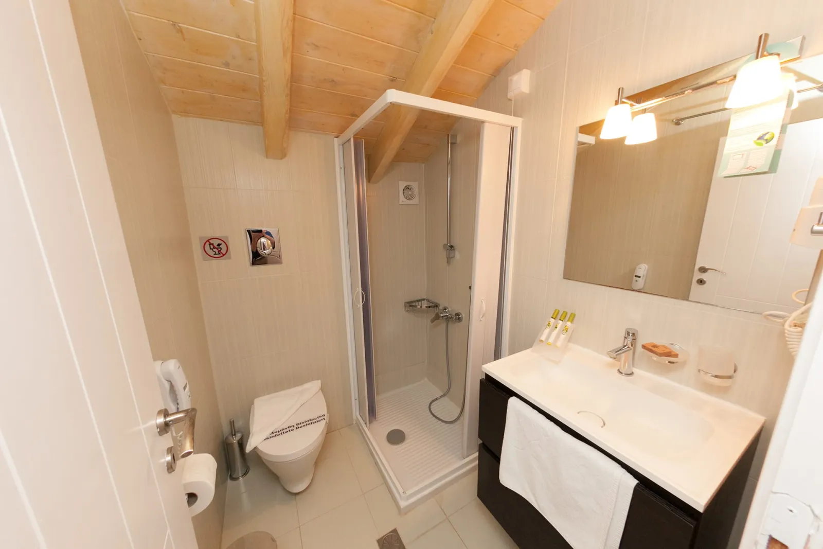 Loft Mini Suite