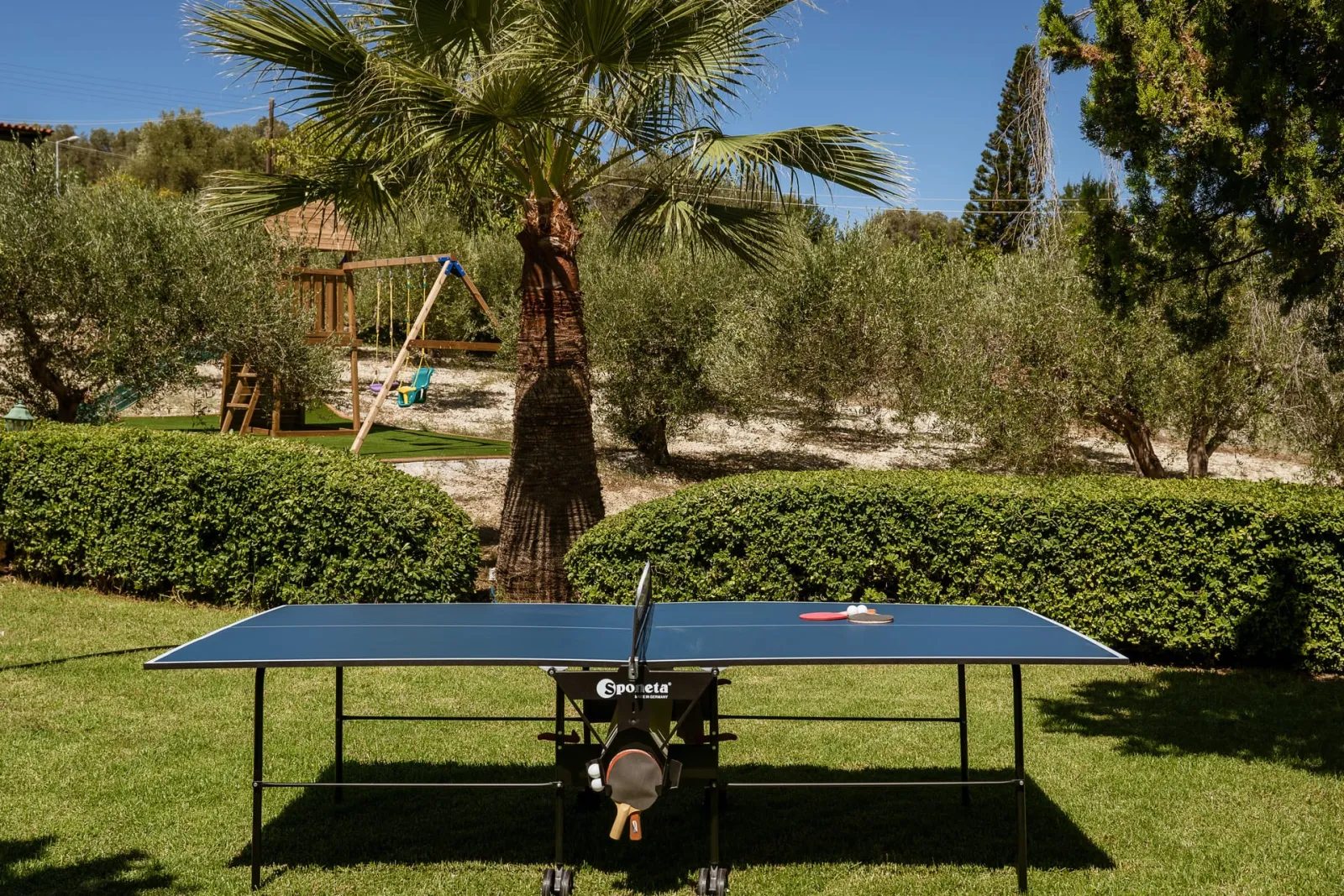 Ping pong table available!