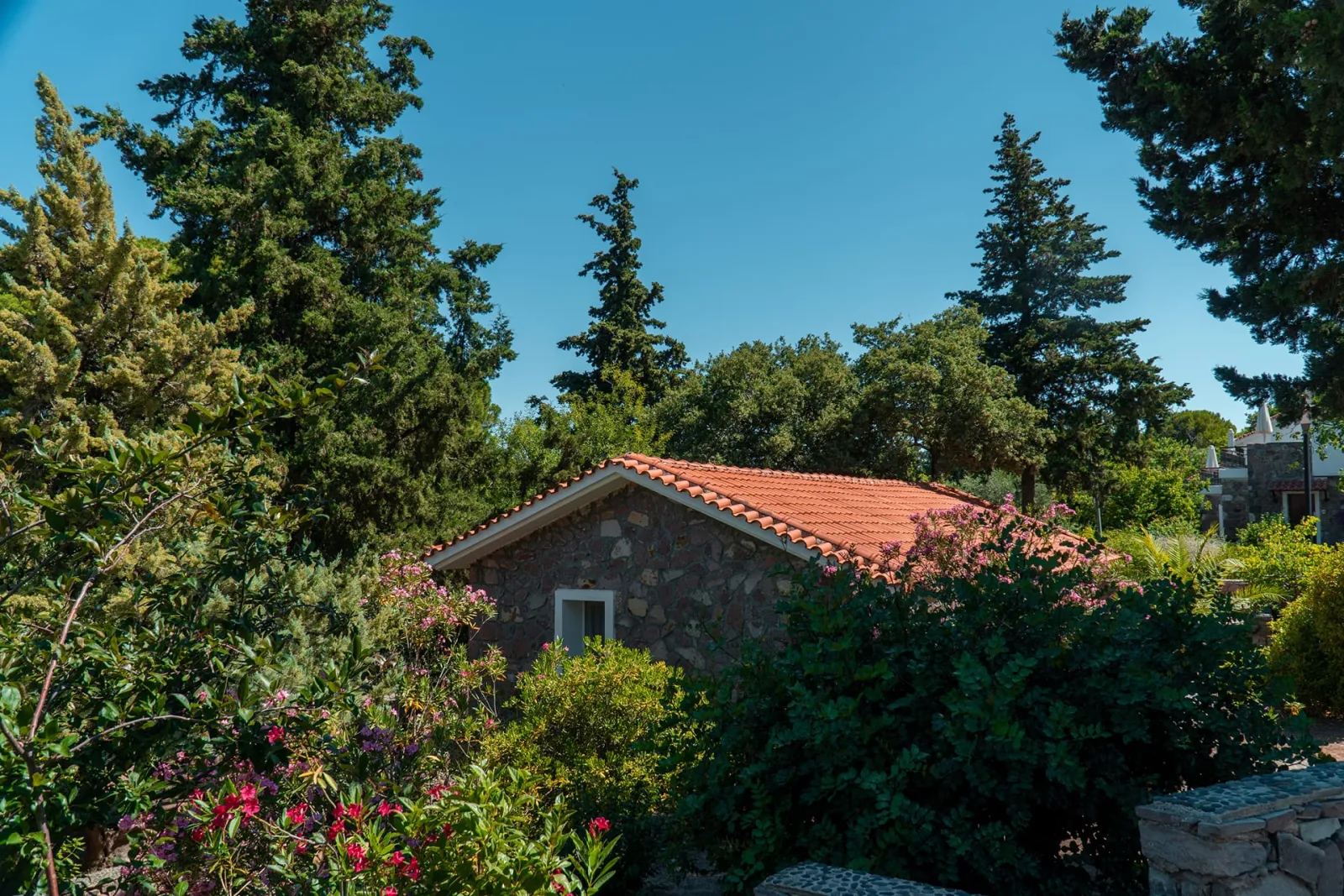 Standard Bungalow with Garden View