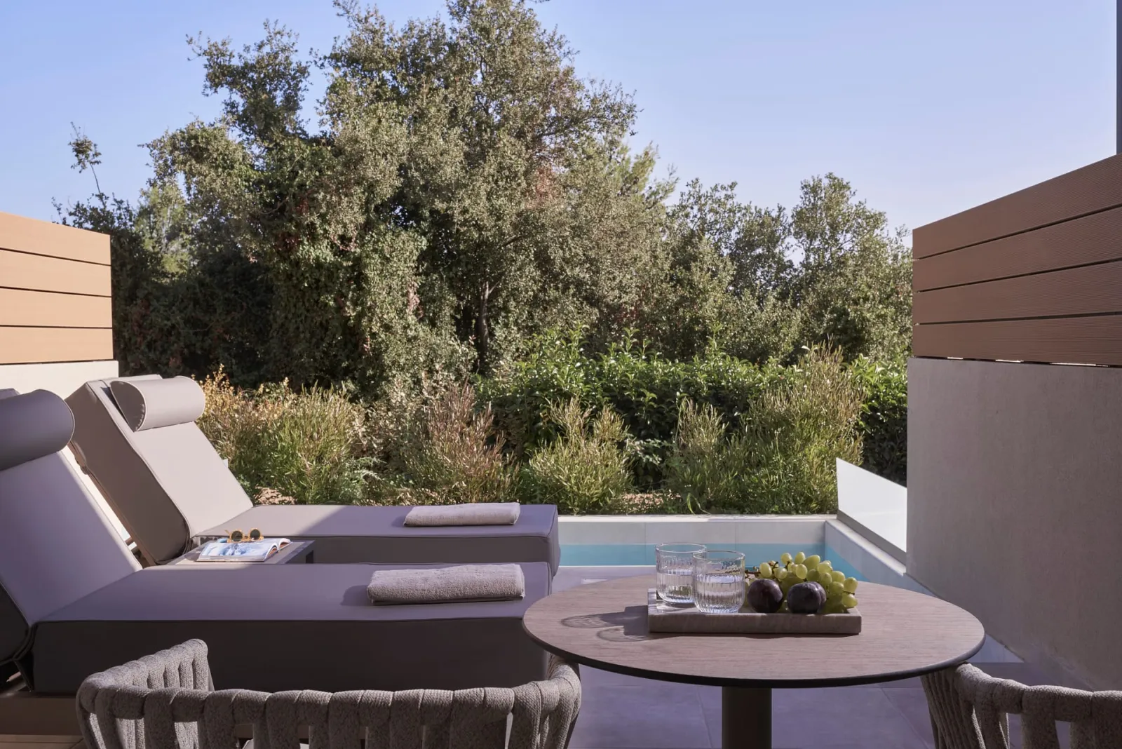 Junior Suite Forest View with Cozy Private Pool (Accessible)