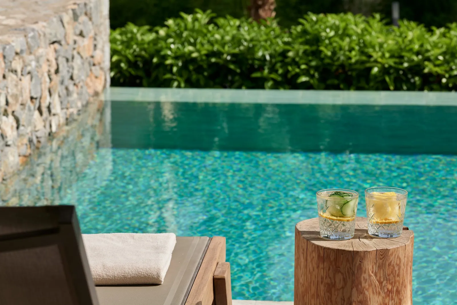 Twin / Double Room with Plunge Private Pool Inland View