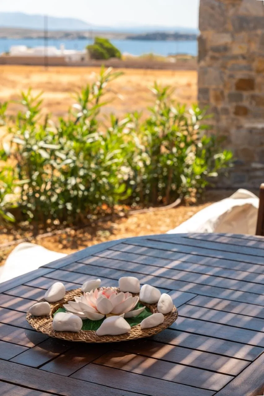 Cycladic Breeze Studio with Sea View &amp; Plunge Pool
