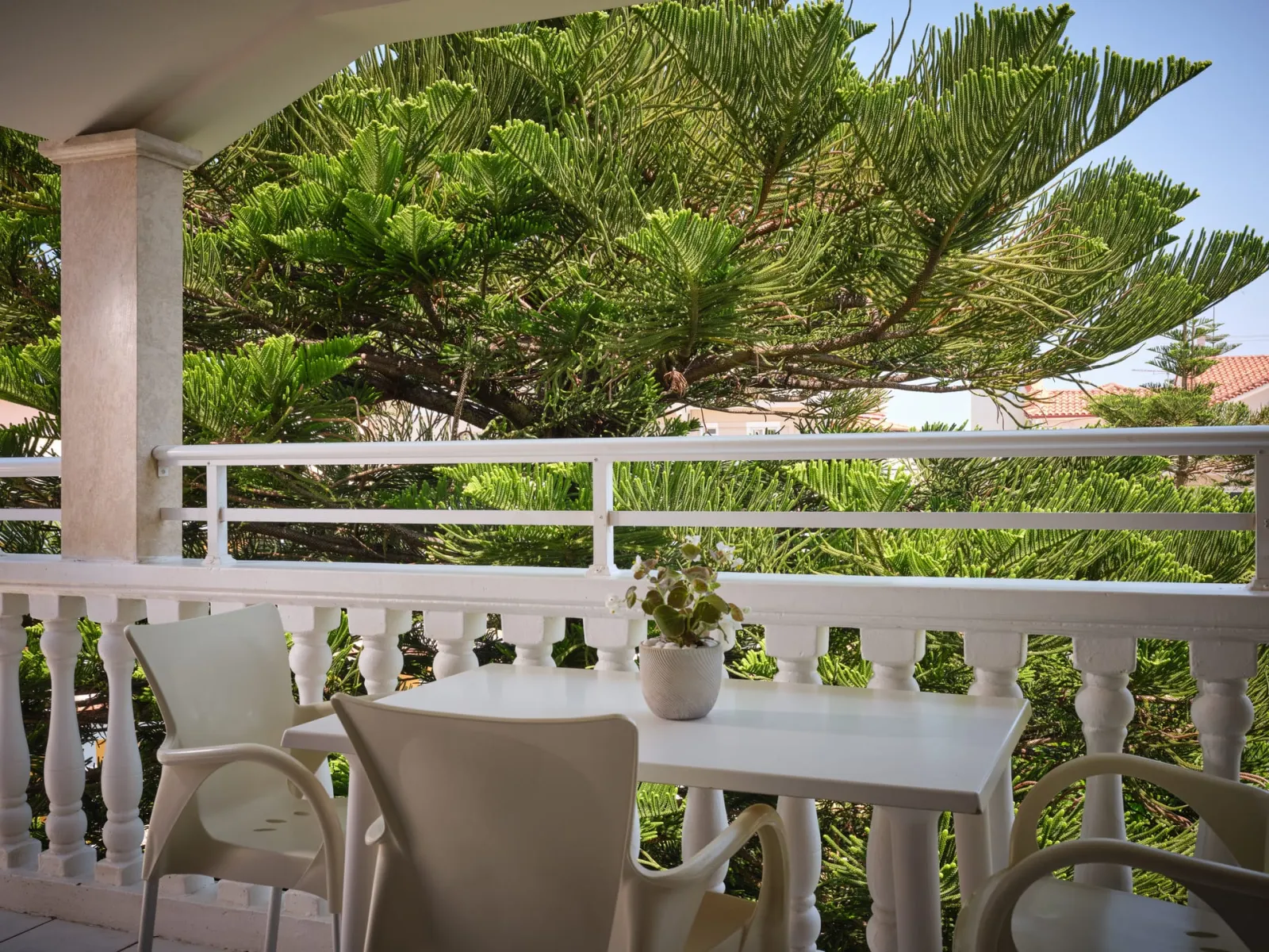 One Bedroom Comfort Apartment