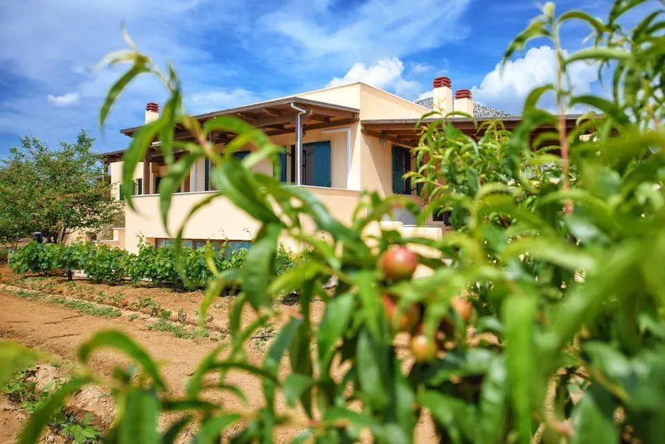 Cottage House 1
