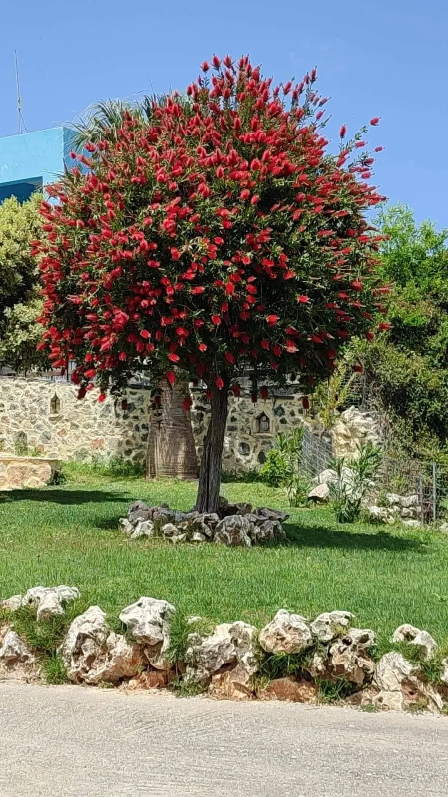 Villa Callistemon