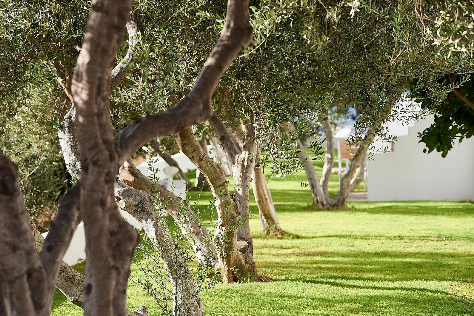 Double Room with Garden View