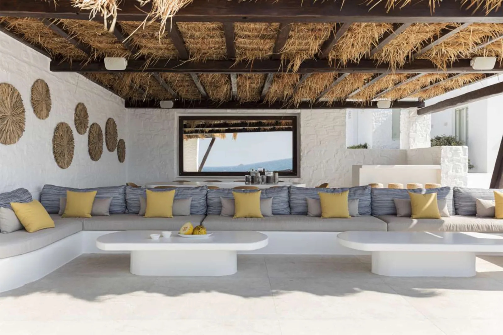 Begonia Villa