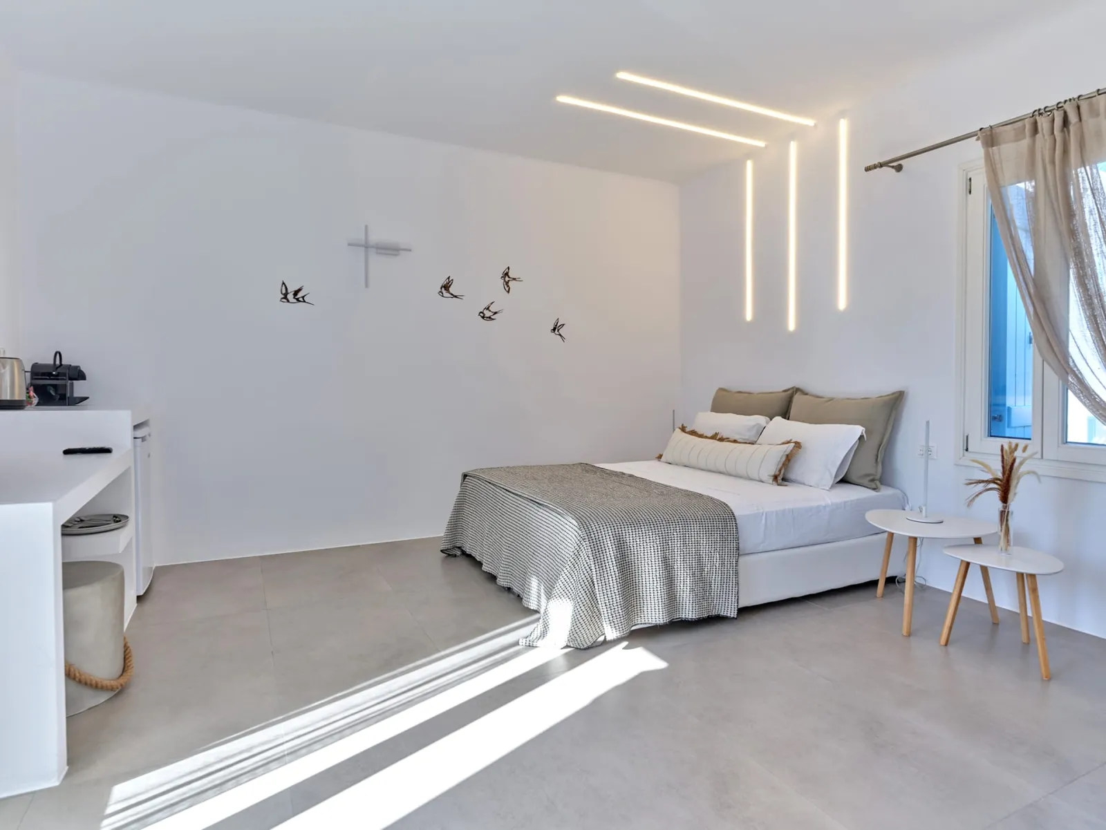 Corali Suite