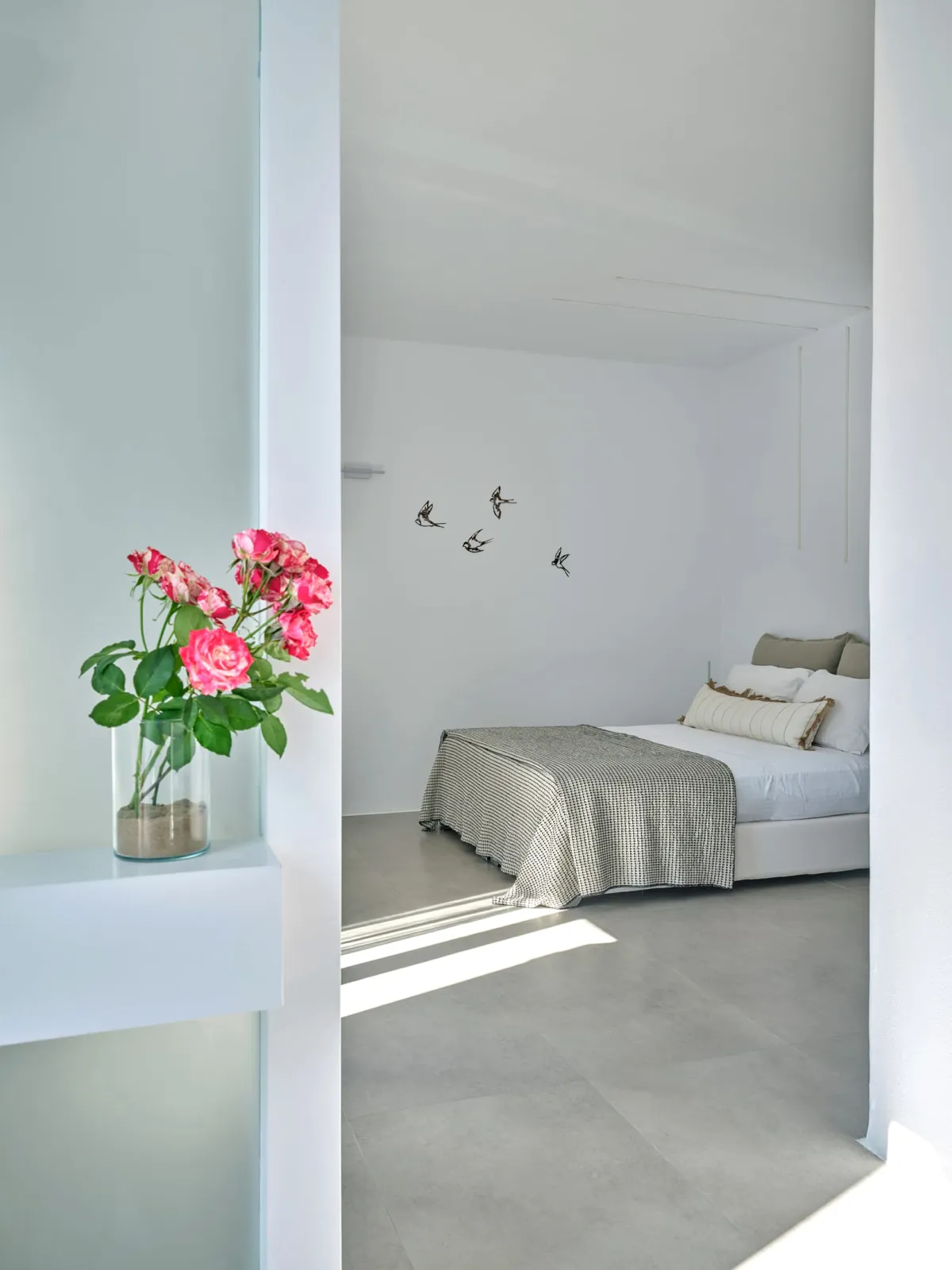 Corali Suite