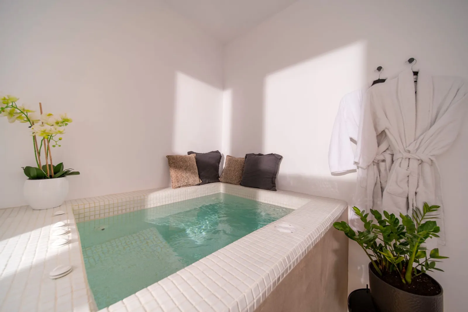 Deluxe Suite with indoor Jacuzzi
