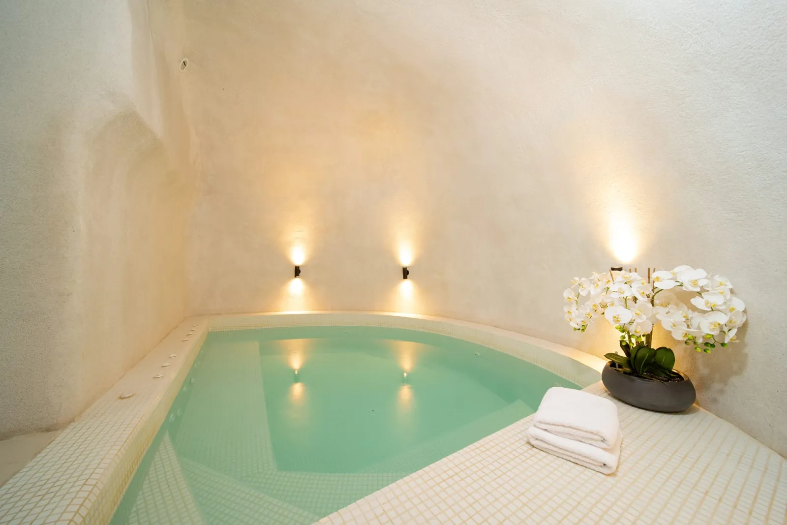 Executive Suite with heated indoor plunge pool