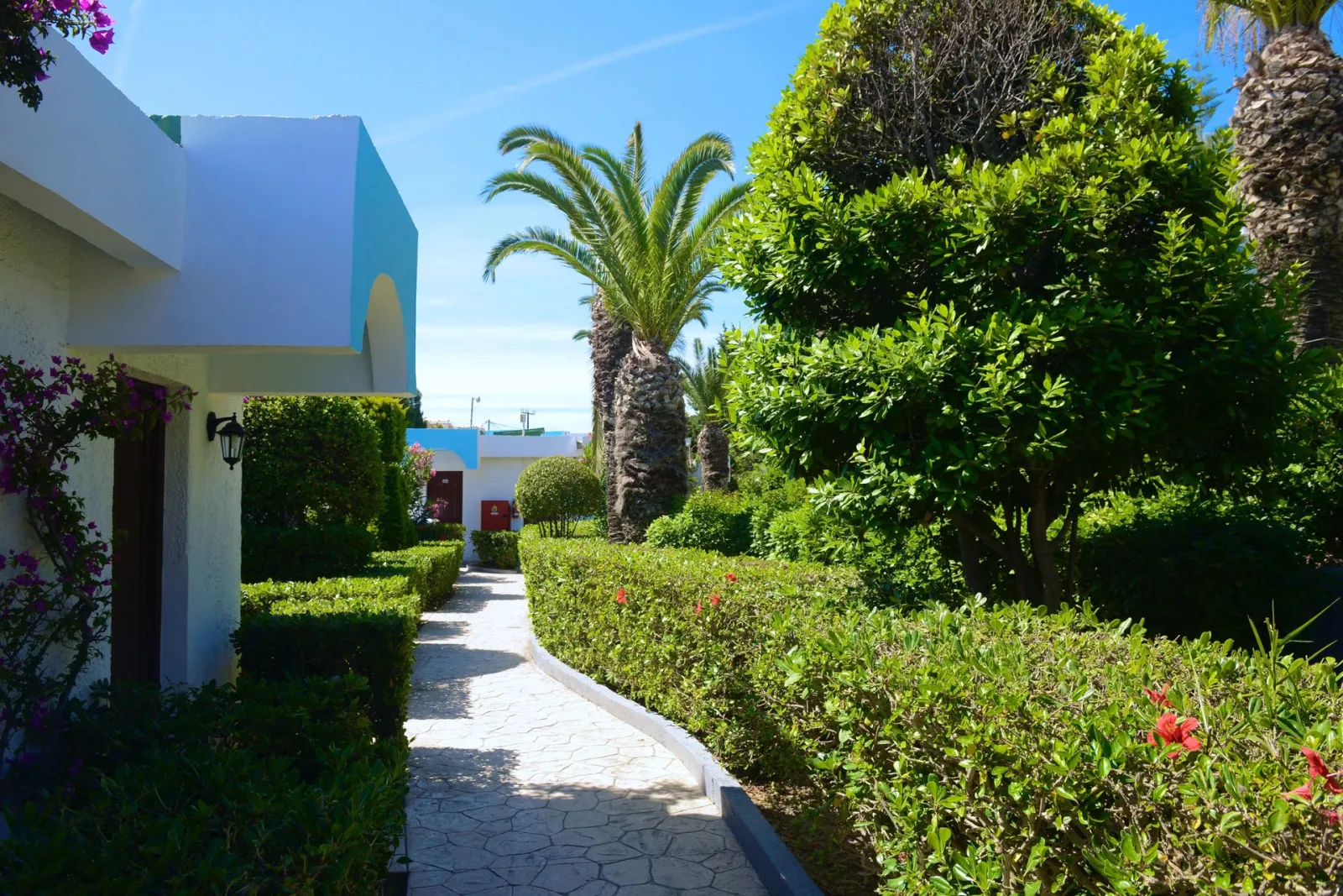 Bungalow Garden View
